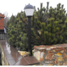 Lampa  ogrodowa - Mleczny Stożek wysokość 106cm